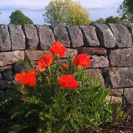 Ashfield House B&B Cong Exteriör bild